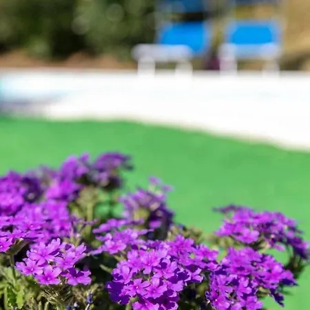 La Meriggia Agriturismo- Il Cipresso Ancona