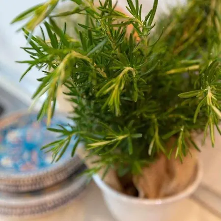 La Meriggia Agriturismo- Il Cipresso * Ancona